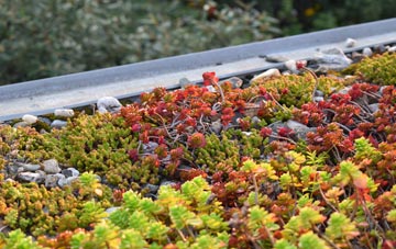 the cost of Auchinleck green roof installation