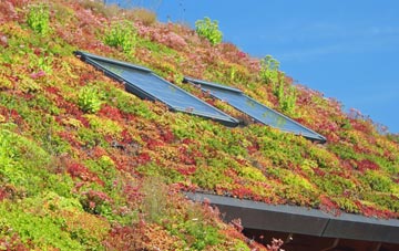 Auchinleck living roof systems