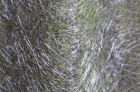 Auchinleck fibreglass roof work